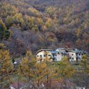 국립운장산자연휴양림 이미지