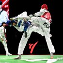 한국체대월드태권도 이미지