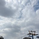 어깨동무어린이집 | 29개월❤️ 대공원 꽃놀이🌸 리프트 타기🤭