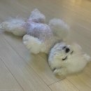먹다 이미지