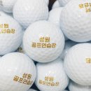 성원골프 | 로고 인쇄 레인지볼(연습장골프공) 납품 후기: 성원골프연습장