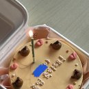 [위자드쏘어] 도시락 케이크 후기! 곰돌이🐻