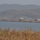 계룡초등학교 이미지