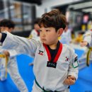 경희대 찬 태권도장 | 양주 유아 태권도 수업, 아이들 맞춤 프로그램