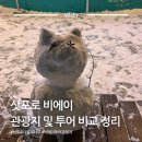 천마관광자동차주식회사 | 삿포로 나홀로 나무를 보기 위한 삿포로 비에이 버스투어 비교 가격 코스 관광지 등