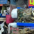 대일수산 이미지