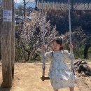 아산 아이와 가볼만한 곳 외암민속마을 봄나들이, 가을축제기간 다녀온 후기(feat. 상전)