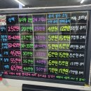 114손세차&광택 이미지