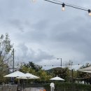 노나먹개 이미지