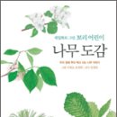 원주자연 이미지