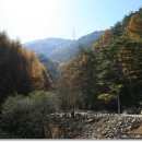 참숯민박 이미지