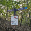 25년 45차 정기산행/ 여강길5코스/ 남한강 출렁다리( 11월 21일 금요일 8시) 이미지