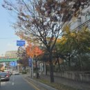 the복공인중개사사무소 이미지