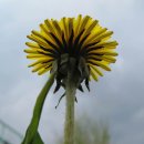 구덕초등학교 이미지