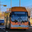 광일여객 이미지