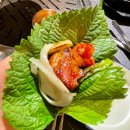 송고집