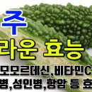 여주 이미지