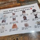 남포아지트 이미지