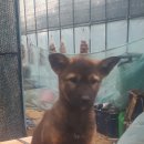 내눈에안경 이미지