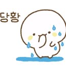 제주체크부동산중개 이미지