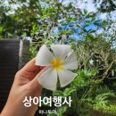 (주)상아여행사 | 부산 출발 해외여행 하나투어 상아여행사 추천 필리핀 보홀 예약 후기