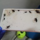 주식회사 전진 이미지