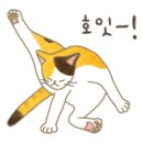 핑크바바 이미지
