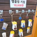 제주 4박5일 아이랑 세계자동차&amp;피아노박물관 주차 내돈내산