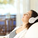 바모스짐 이미지