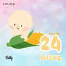 임신 24주차의 기록 (연휴 행복하게 보내기)