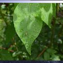 강남하이츠 이미지