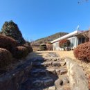 청도강변돌고래펜션 이미지