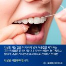 HHY '치실스쿨' 개교 준비위원회 발족! 이미지