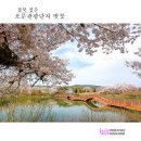 보문관광단지 티스토리