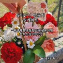 무안행복초등학교병설유치원 | 전남 무안행복초등학교병설유치원 학부모참여수업 플로랄데이즈 꽃바구니 만들기 원예키트 원예수업