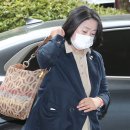 돈미향 이미지