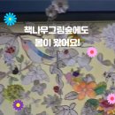 그림숲 이미지