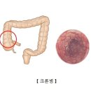 삼성항외과 이미지