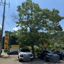 양수리 오리학교 이미지