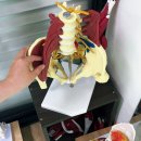 석현정바디케어센터 이미지