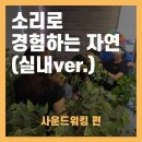 미디어 실험실, 공간으로 놀자 | [소리야놀자] 소리로 자연을 경험하는 사운드워킹(feat.실내)