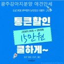 광주강아지분양 애견만세 | 광주강아지분양 애견만세 투명하고 정직한 분양업체