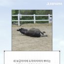 흙뿌리 농장 이미지