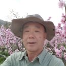 차리인동네 이미지