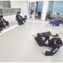 화랑 합기도 & 주짓수 이미지