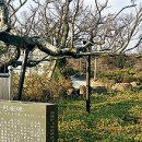 동광전지 이미지