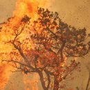 방화농장 이미지