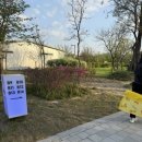 탄금호피크닉공원 3 이미지