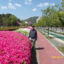 귀거래사 이미지