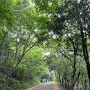 남해힘 | 남해 보리암 후기 | 주차장, 셔틀버스, 소요 시간까지 직접 다녀온 후기
